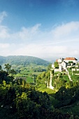 View of Chateau Chalon with terraced gardens and winery on mountain, Arbois, France