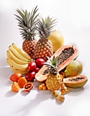 Wild; Exotische Früchte: Ananas, Bananen, Papaya, u.a.