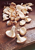 Oyster mushrooms on stone
