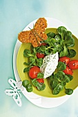Feldsalat mit Tomaten und Kerbel- Käsecreme, Brot als Schmetterling