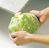 Gemüse aus aller Welt, Salat auf die Tischkante schlagen, Step 1