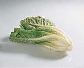 Gemüse aus aller Welt, Freisteller: Ovaler Römersalat