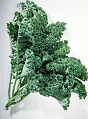 Close-up of fresh kale against white background