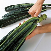 Gemüse aus aller Welt, Strunk vom Schwarzkohl entfernen, Step 1