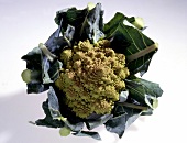 Gemüse aus aller Welt, gelbgrü -ner Blumenkohl "Romanesco"