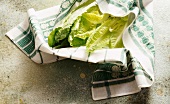 Lettuce leaves wrapped in tea towel