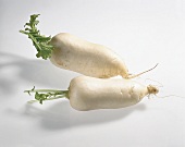 Gemüse aus aller Welt, Freisteller: 2 weiße, kurze Rettiche