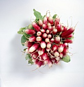 Bunch of red and white radish on white background