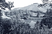 Weinberge des Weinguts Dönnhoff, Oberhausen an der Nahe