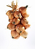 Bunch of brown onion on white background