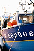 Fishing boat moored at harbour of Quiberon, Brittany, France