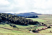 Blick über das Hochplateau Aubrac im Südwesten Frankreichs