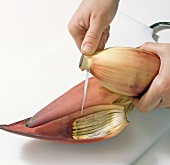 Close-up of banana flower being cut, step 2