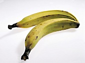 Buch der Exoten, Freisteller: Große, dünne, gelbe Bananen