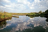 Sumpflandschaft des "Parc Naturel de Brière", Boot auf dem See