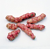 Close-up of Sorrel red tubers on white background