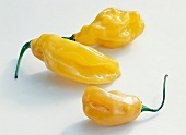 Close-up of three yellow peppers on white background