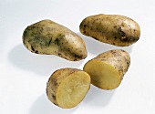 Gemüse aus aller Welt, Gelbfleischige Kartoffeln , Christa
