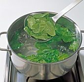 Close-up of spinach leaves being removed from boiled water with ladle, step 1
