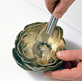Close-up of cleaning and removing leaves from boiled artichoke with melon baller, step 12