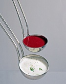 Gemüse aus aller Welt, RoteBete-Sauce, Fenchelsauce in 2 Kellen