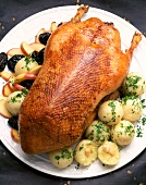 Roasted Pomeranian goose with dumplings and plums on plate