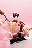 Three bottles of perfume on pink background with a twig of blossoming orchids
