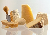 Various types of cheese on white background