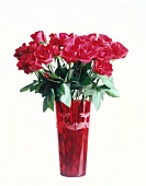 Close-up of red vase with roses on white background