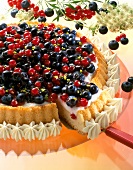 Close-up of blueberry and redcurrant cake on plate with one piece on spatula