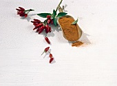 Spice powder, red ornamental peppers and paprika on white background