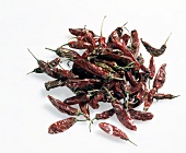 Paprika, Chile morita, konisch rote, getrocknete Chilischoten