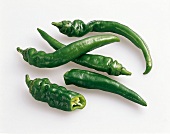 Paprika, grüne, scharfe, lange Peperonis aus Jordanien