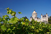 Château de Vufflens, Weingut in der Schweiz.