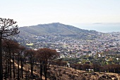 Südafrika, Überblick über Kapstadt, Stadtrand, Signal Hill