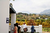 Südafrika, Stellenbosch, Weingut Ken Forrester, Besucher bei Besichtigung