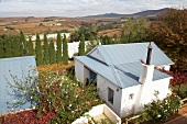 View of trees and vineyards from the terrace of Meinert Winery, South Africa