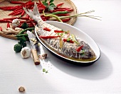 Paprika, Fisch mit würziger Joghurtsauce überbacken, Chillies