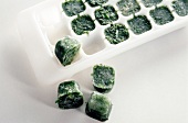 Close-up of herbal ice cube in tray and three cubes outside the tray