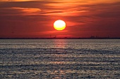 Malerischer Sonnenuntergang über dem Öresund.
