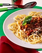 Spaghetti pasta with meat sauce, Parmesan cheese and basil leaves on plate