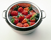Erdbeeren waschen, Step, Beeren im Wasserbad im Durchschlag schwenken