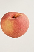Close-up of peach on white background
