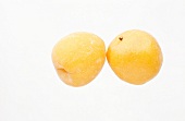 Close-up of apricot on white background