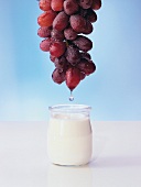 Joghurt im Glas, rote Weintrauben 