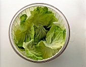 Lettuce in salad spinner