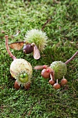 Tinkered pigs and hedgehog crafted from horse-chestnut, grass seeds and chestnuts