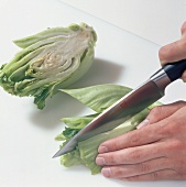 Gemüse aus aller Welt, Senf- kohl zerkleinern, Messer, Step 1
