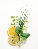 Herbs with slices of orange, lemon, lime, lemon balm and chervil on white background