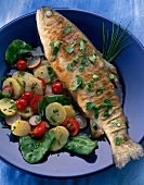 Forelle "Müllerin" ganz mit Gemüse- Salat auf Teller in Blau, bunt